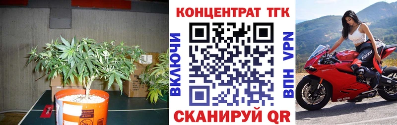 Дистиллят ТГК концентрат  Стародуб 