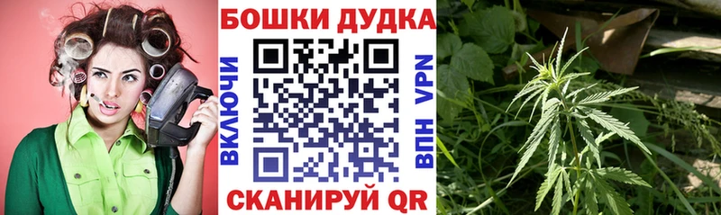Шишки марихуана SATIVA & INDICA  Стародуб 